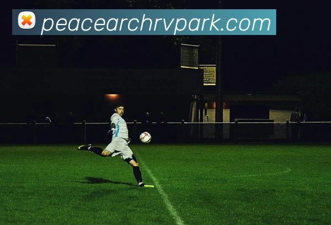 奖项图3